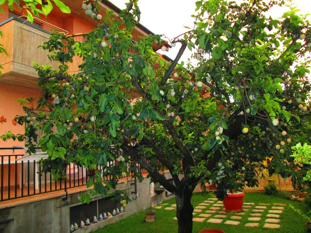 B&B Le Begonie Ascoli Piceno Exterior photo